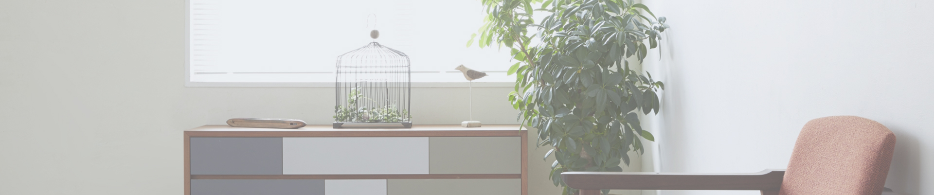banner1